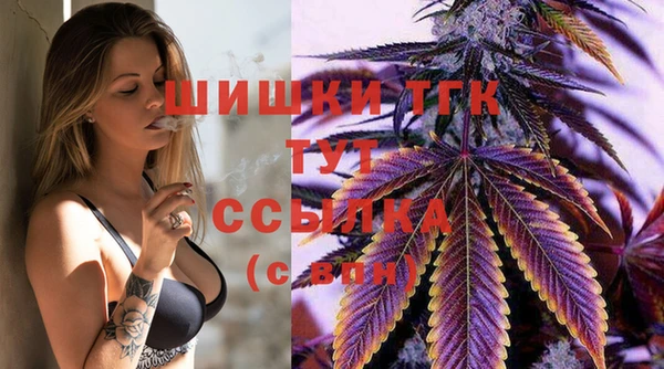 индика Богородск