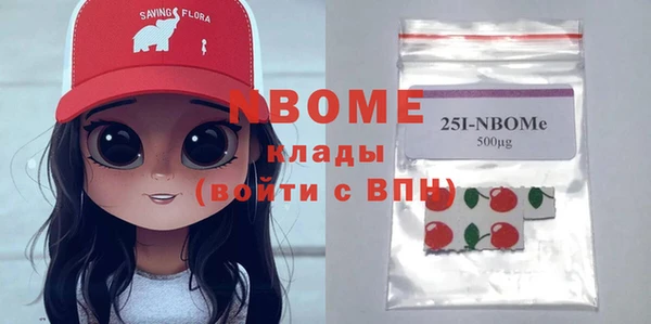 индика Богородск