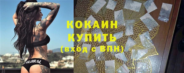 гидра Белокуриха