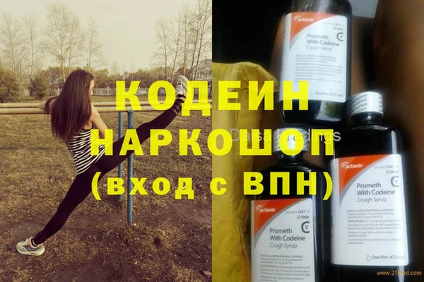 индика Богородск
