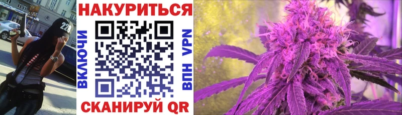 Канабис сатива  Балей 